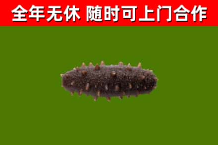 让胡路烟酒回收干海参.jpg